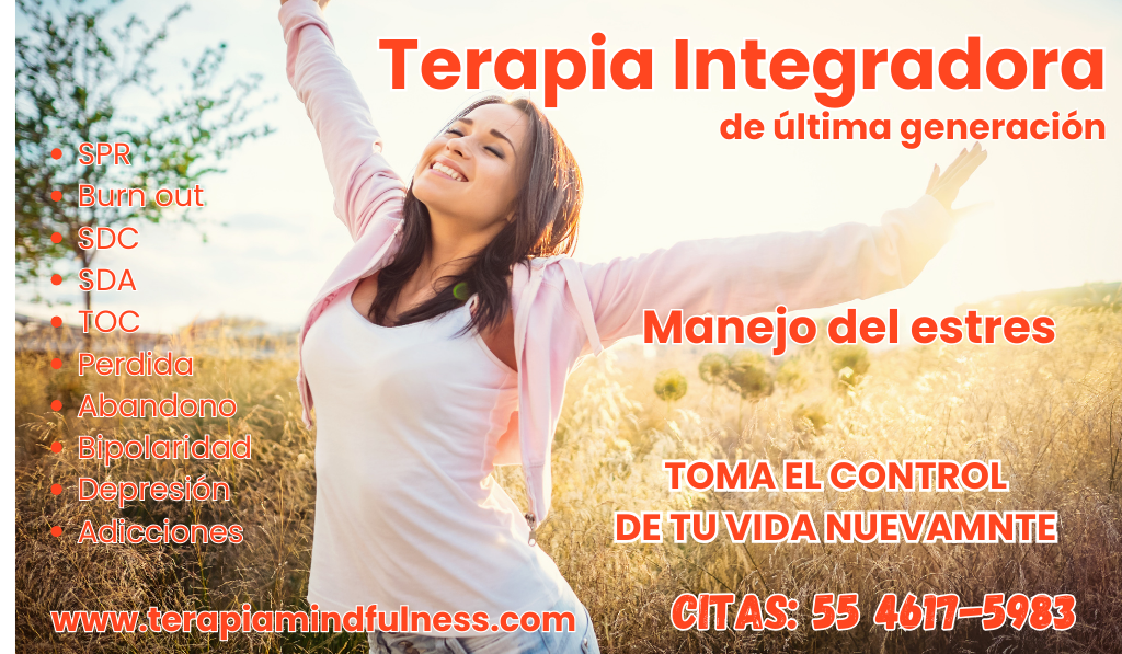 Terapia integradora en lomas de chapultepec